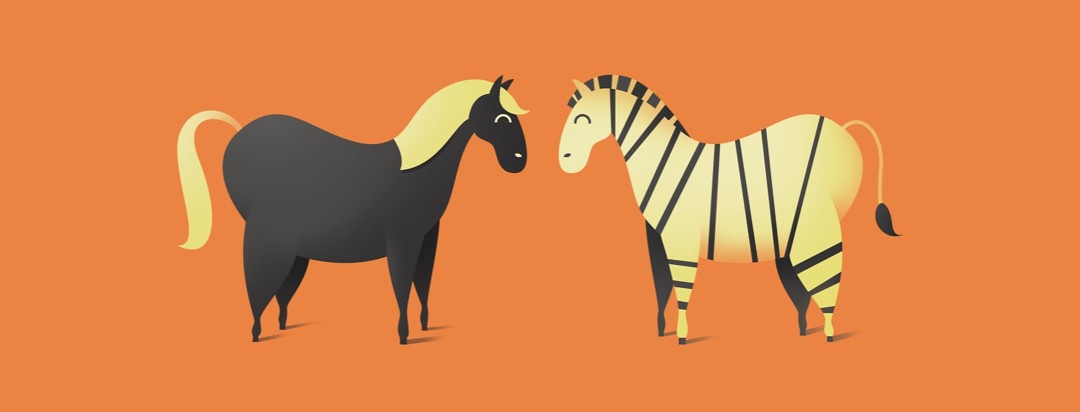 A horse and a zebra stand facing each other showing how two things can be similar but also different