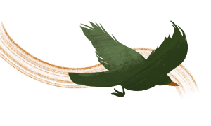 Bird flying with orange wind behind it
