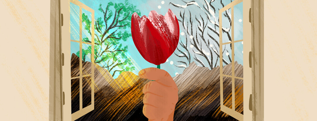 Hand holding Parkinson's red tulip in front of window showing summer trees and winter branches on either side