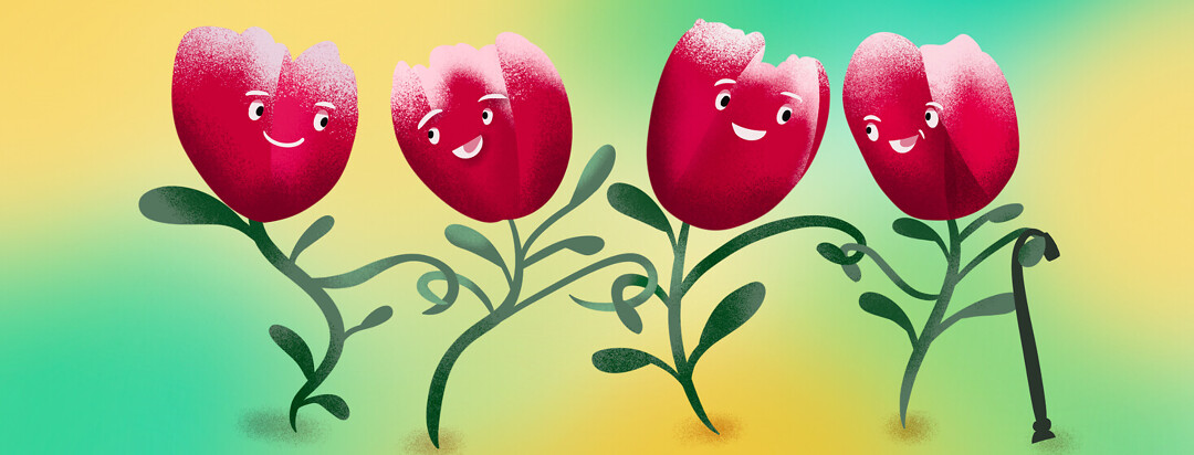 Parkinson's red tulips with faces smile and link arms on a walk together