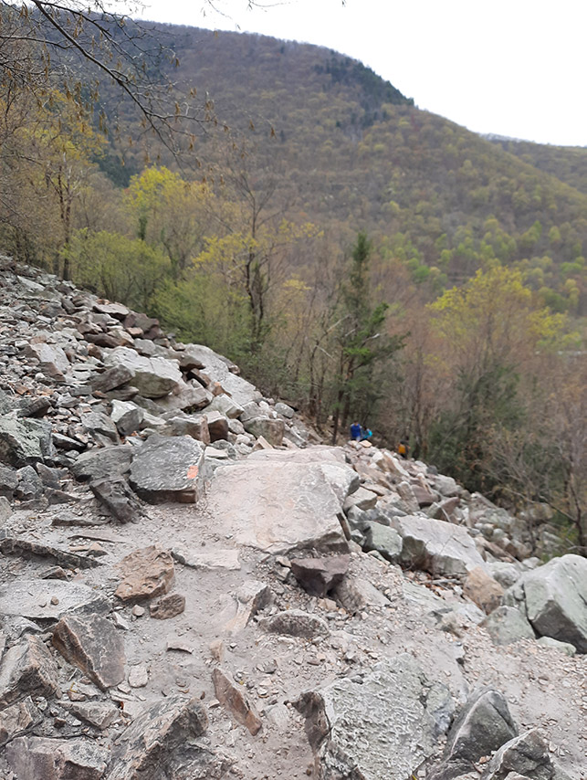 A steep, rocky incline with trees and a mountain in the background.