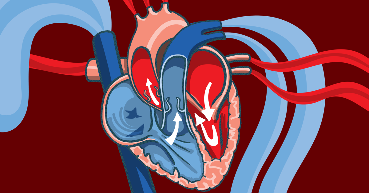 heart-disease-and-parkinson-s